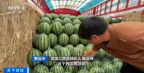 万泰汇喷泉吃瓜