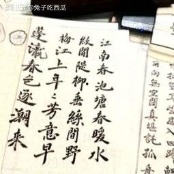 小楷吃瓜,揭秘娱乐圈那些不为人知的幕后故事