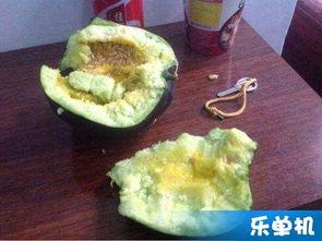 农村老家吃瓜,农村老家夏日吃瓜记