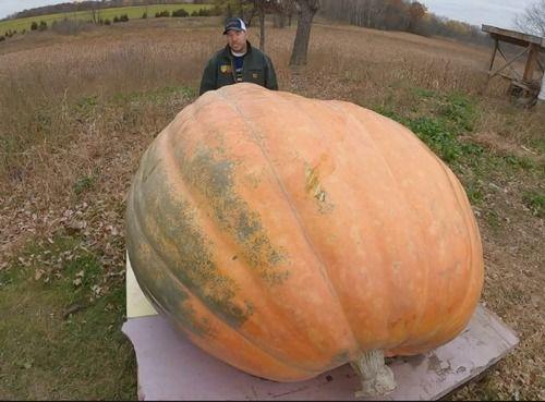 大瓜吃瓜,揭秘娱乐圈幕后故事