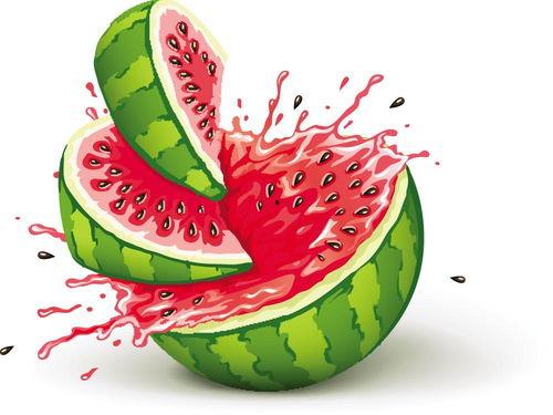 吃瓜小朋友127,一场童趣盎然的瓜界传奇