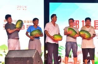 吃瓜观众王,揭秘吃瓜群众的趣味人生