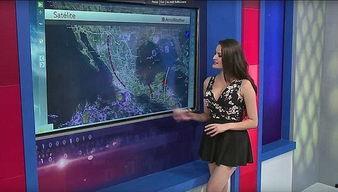 女主播吃瓜群,吃瓜群背后的娱乐风云