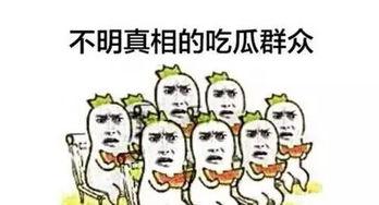 芜湖吃瓜群众,揭秘当地独特美食文化